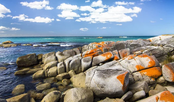 El liquen naranja brillante cubre las rocas y da su nombre a la Bahía de los Fuegos. Tasmania, Australia — Foto de Stock