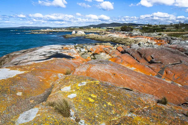 El liquen naranja brillante cubre las rocas y da su nombre a la Bahía de los Fuegos. Tasmania, Australia — Foto de Stock