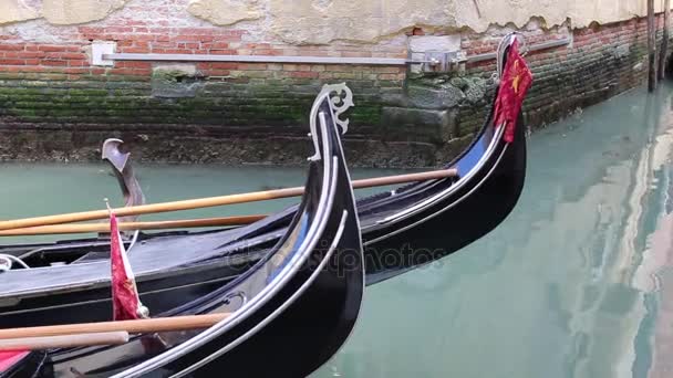Dwie Gondole Swing Venice — Wideo stockowe