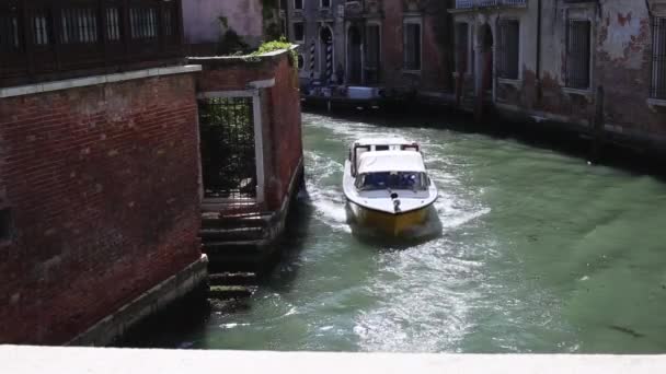 Motor Stiga Ombord Venedig — Stockvideo