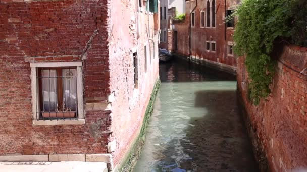 Old Building Venice — Stock Video