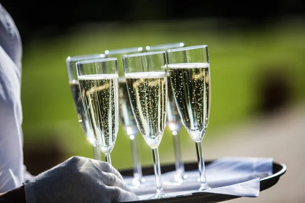 the waiter holds six glasses of the waiter carries six glasses of champagne on a tray, holding it with one hand on a tray