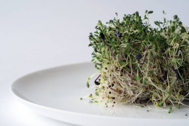 Mikro yeşiller: Beyaz tabakta yeşil filizler.