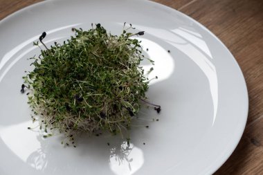 Mikro yeşiller: Beyaz tabakta yeşil filizler.