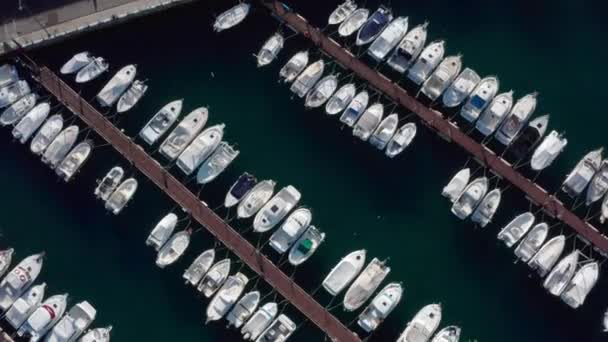 Top View White Boats Piers Sea — Stock Video