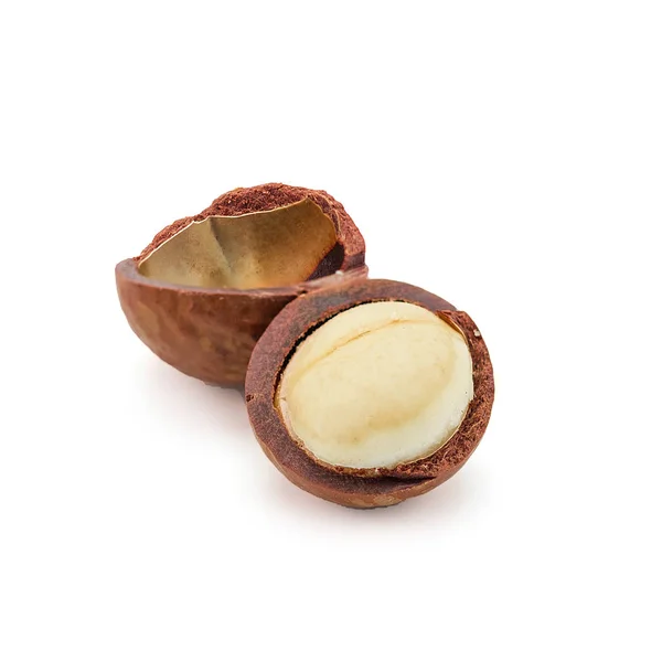 Macadamia Fındığı Beyaz Arka Planda Izole Edilmiş — Stok fotoğraf