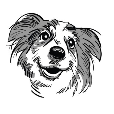 çizgi film köpek kafası.