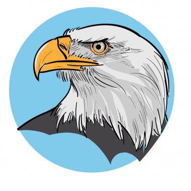 Kartal başını. İllüstrasyon