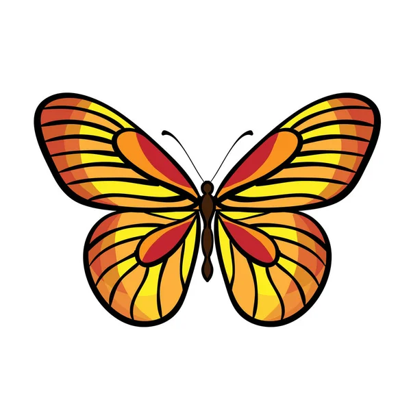 Vector de mariposa aislado — Archivo Imágenes Vectoriales