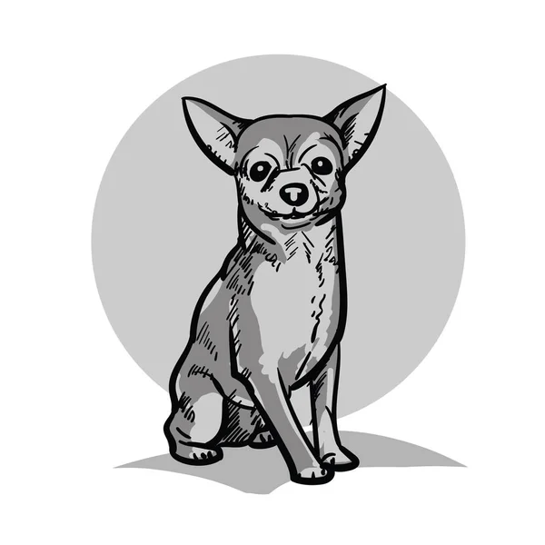 Chihuahua. Un perro pequeño . — Archivo Imágenes Vectoriales