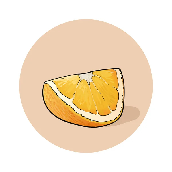 Laranja. Fatia fresca suculenta de laranja . — Vetor de Stock