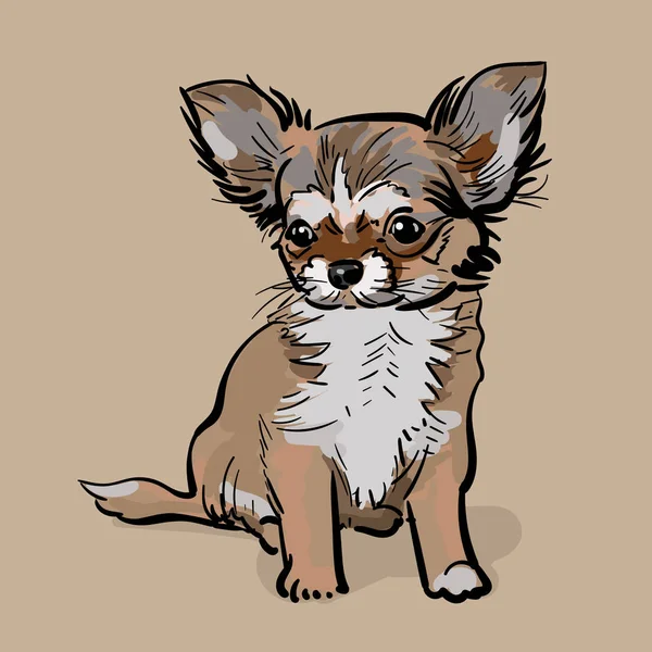 Lilla Chihuahua hunden. Valp — Stock vektor