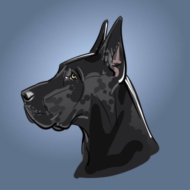 Büyük güçlü Moğol portresi.