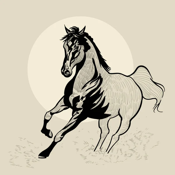 Cavalo em movimento. Ilustração desenhada à mão. Esboço manual . —  Vetores de Stock