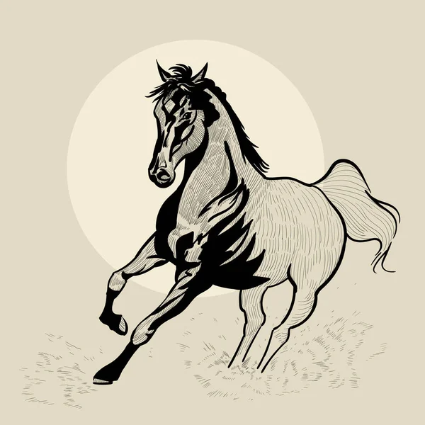 Caballo en movimiento. Ilustración hecha a mano. Esbozo de mano . — Vector de stock