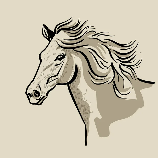 Cabeza de caballo con crin. Ilustración vectorial dibujada a mano . — Archivo Imágenes Vectoriales