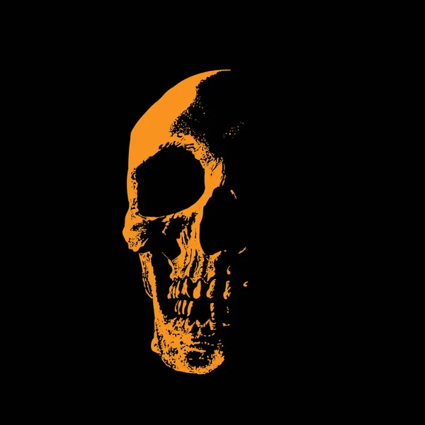 Sylwetka portretu czaszki w kontrastowym podświetleniu. — Wektor stockowy