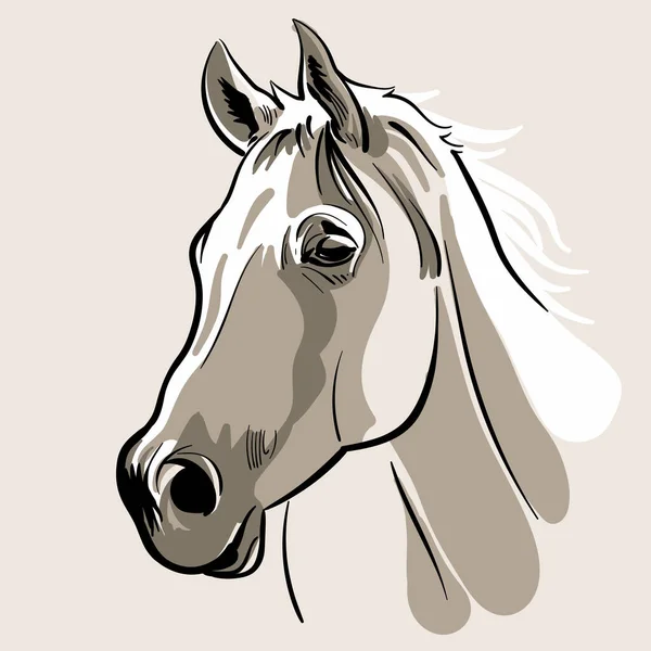 Cabeza de caballo. Ilustración vectorial dibujada a mano . — Archivo Imágenes Vectoriales