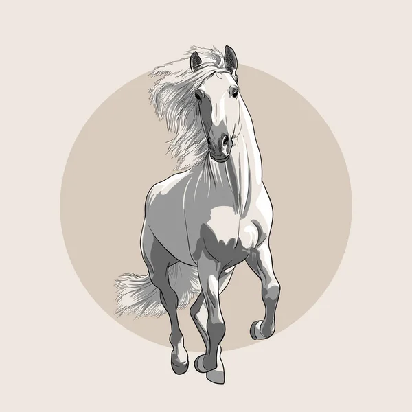 Caballo en movimiento con crin. Esbozo de mano . — Vector de stock