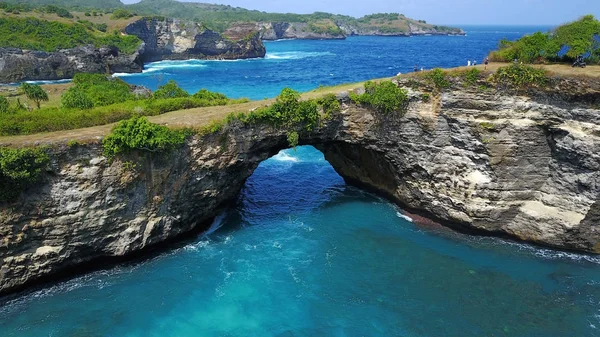 大きな穴と青い海に囲まれた上に緑のブッシュと巨大なサンゴ — ストック写真