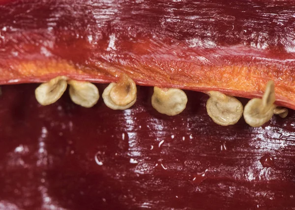 Trockene Paprika Samen Als Dressing Der Traditionellen Andalusischen Küche Verwendet — Stockfoto