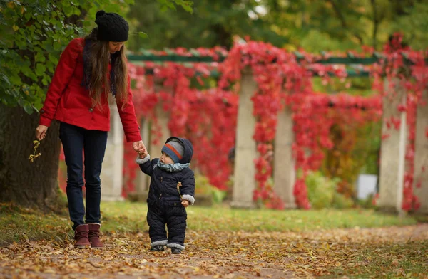 Молодая женщина с ребенком в осеннем парке на фоне ярко-красных листьев ползучей Вирджинии, счастливая семья — стоковое фото