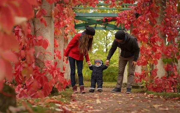 Молодые родители с маленьким ребенком в осеннем парке, на фоне ярко-красных листьев ползучей Вирджинии, счастливая семья — стоковое фото