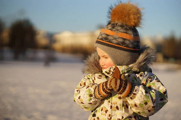 Солнечный портрет мальчика в яркой одежде, шляпа с помпоном и варежки в солнечном снежном зимнем парке — стоковое фото