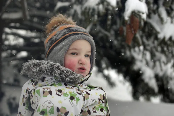 Портрет маленького задумчивого мальчика с красными щеками и шляпой с помпоном. Фон снежного зимнего леса, елки — стоковое фото