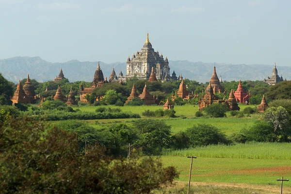 Antik tapınakları ve pagodaları olan Bagan Vadisi 'nin inanılmaz güneşli manzarası, Burma Myanmar. Parlak yeşil güneşli vadi