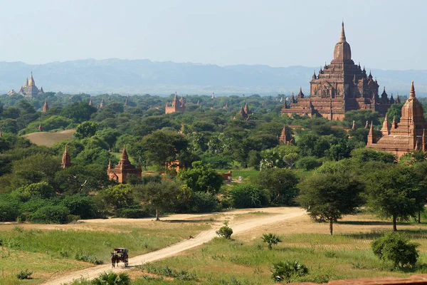 Antik tapınakları ve pagodaları olan Bagan Vadisi 'nin inanılmaz güneşli manzarası, Burma Myanmar. Parlak yeşil güneşli vadi
