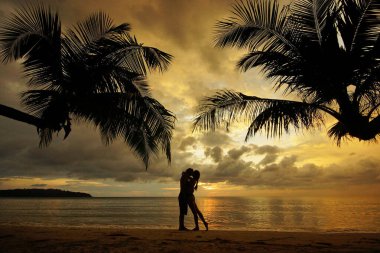 Silhouette of kissing couple standing on tropical beach during sunset, background of palm trees and sea. Romantic date