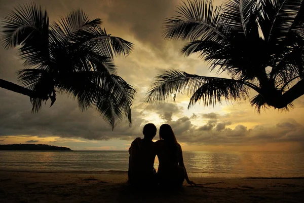 Silhouette of couple sitting and hugging on tropical beach at sunset, background of palm trees and sea. View from behind
