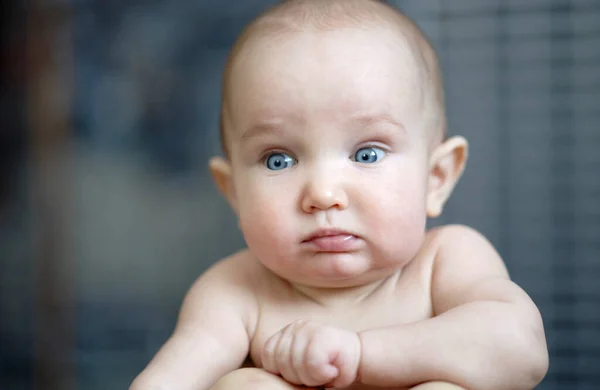 Potret dekat bayi kecil bijaksana dengan mata biru besar. Anak manis berambut pendek, tanpa baju. Latar belakang abu abu — Stok Foto
