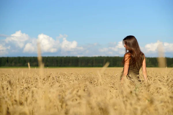 Elegante Frau mit langen Haaren, die hüfttief mitten im Weizenfeld steht, die Hände berühren Ähren, Blick von hinten — Stockfoto