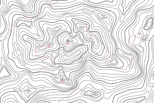 Topografik Irtifa Çizgi Haritası Ile Cazibe Noktası Sorunsuz Vektör Desen — Stok Vektör