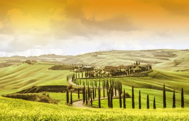 Selvi ağaçları ile pastoral Tuscany manzara. En iyi cazibe İtalya. Ünlü Yolculuk hedef