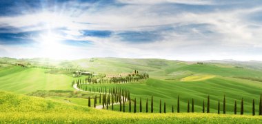 Selvi ağaçları ile pastoral Tuscany manzara. En iyi cazibe İtalya. Ünlü Yolculuk hedef