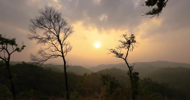 Timelapse Puesta Del Sol Selva Verde Tropical Bosque Valle — Vídeo de stock