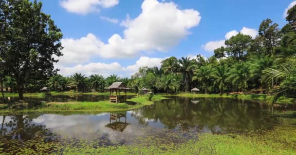 Tayland Ormandaki Göl Zaman Kayması — Stok video