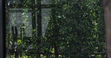 Penceredeki bir şelalenin yansıması