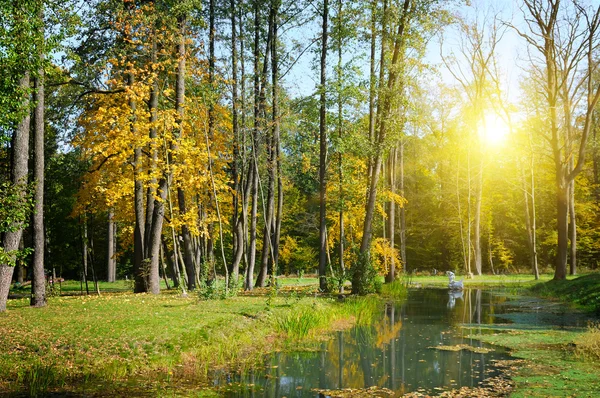 Doğal sonbahar manzara: park, süs göl ve günbatımı — Stok fotoğraf