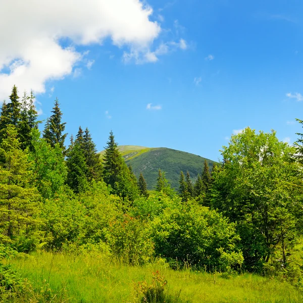 Scenic mountains, meadows and blue sky — Stock Photo, Image