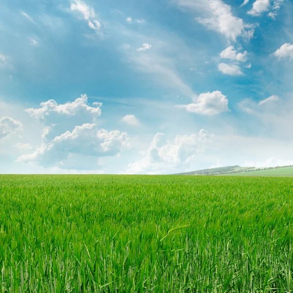 Champ vert et ciel bleu avec des nuages clairs — Photo