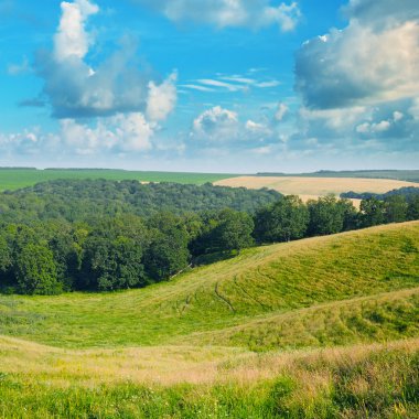 pitoresk tepeler, orman ve mavi gökyüzü