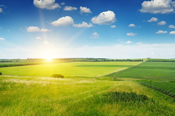 Hügeliges Gelände, Frühlingsfeld und Sonnenaufgang am blauen Himmel — Stockfoto