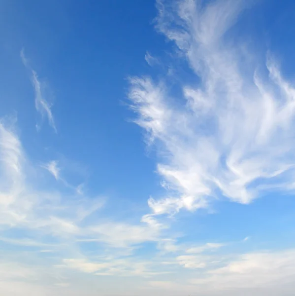 Nuvole plumose nel cielo blu — Foto Stock
