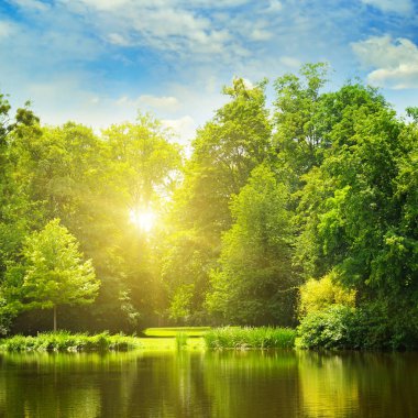 pitoresk göl, bankalar ve güneşin doğuşunu yaz orman