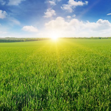 alan, gün doğumu ve mavi gökyüzü