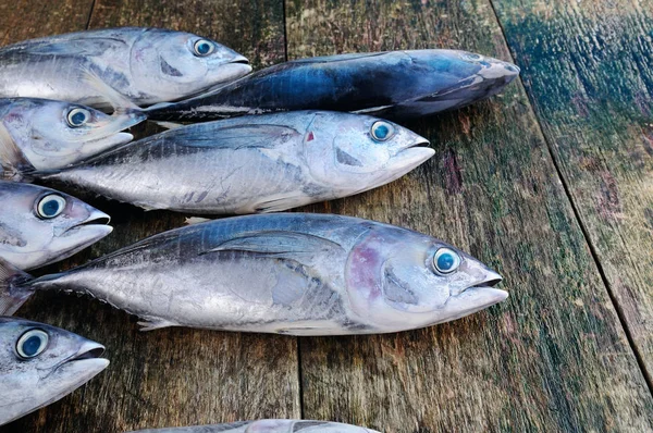 Ahşap arka plan üzerinde balık ton balığı